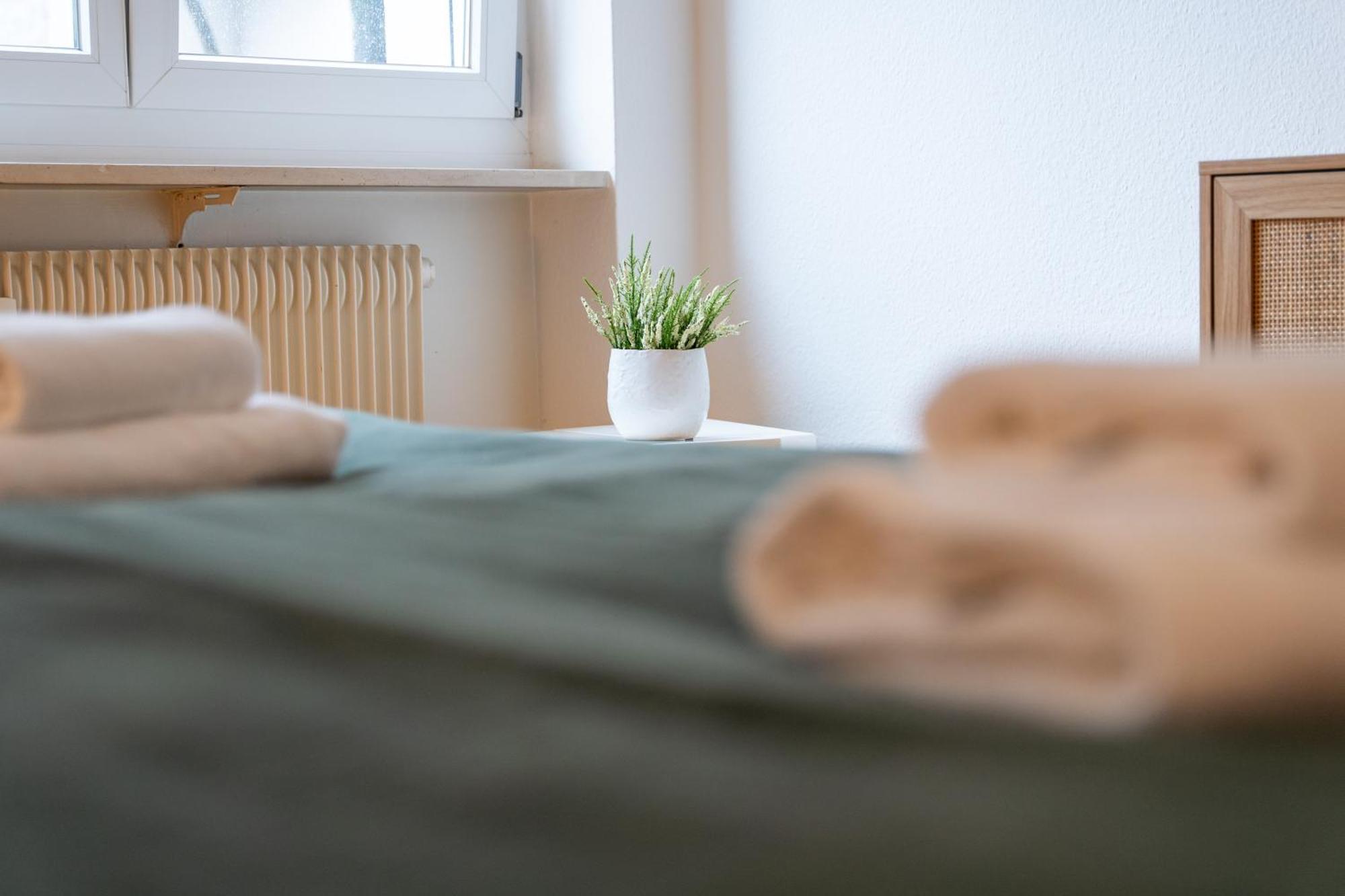 Gemuetliche Grosse Wohnung Naehe Uni Bazel Buitenkant foto