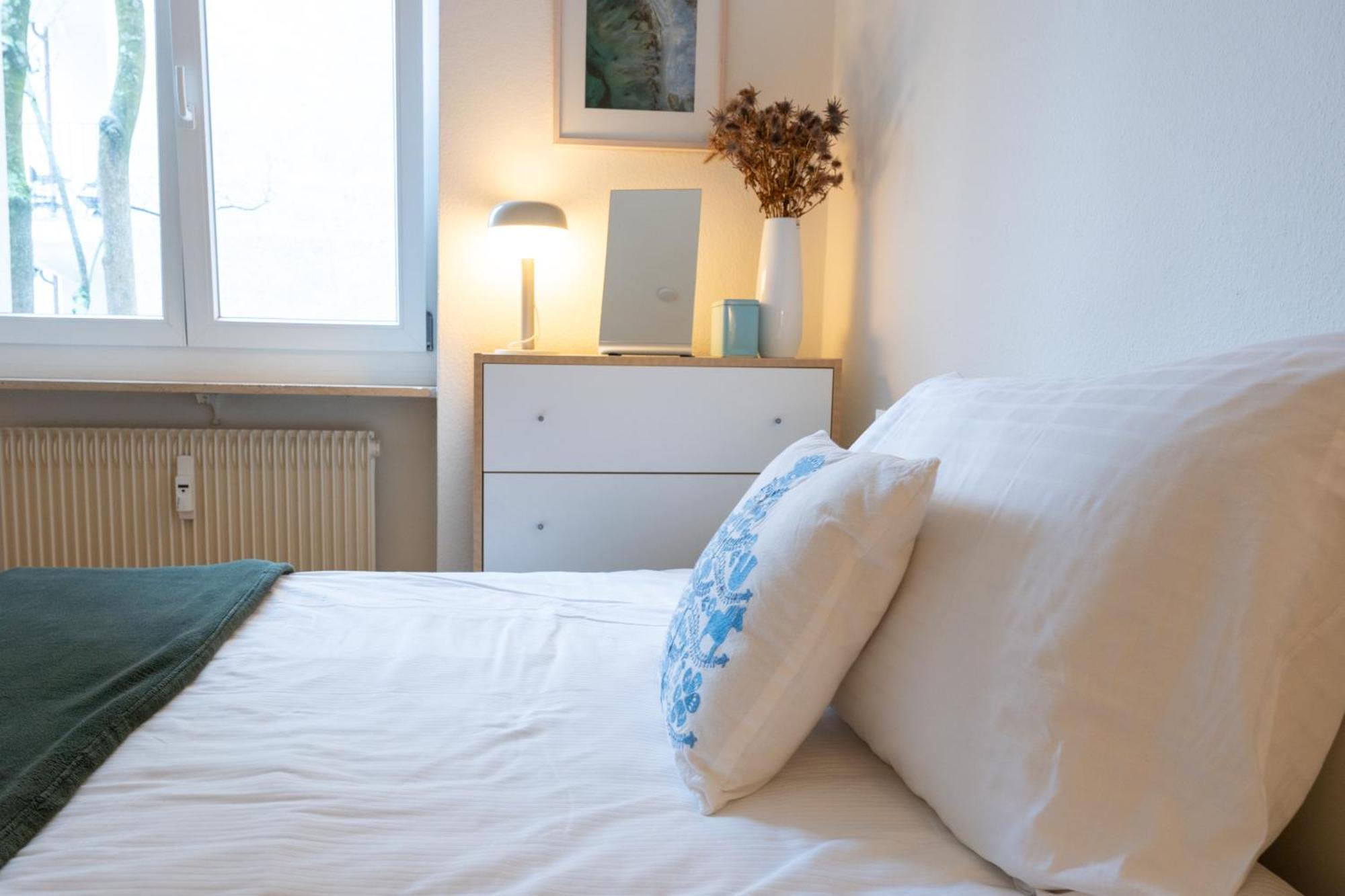 Gemuetliche Grosse Wohnung Naehe Uni Bazel Buitenkant foto