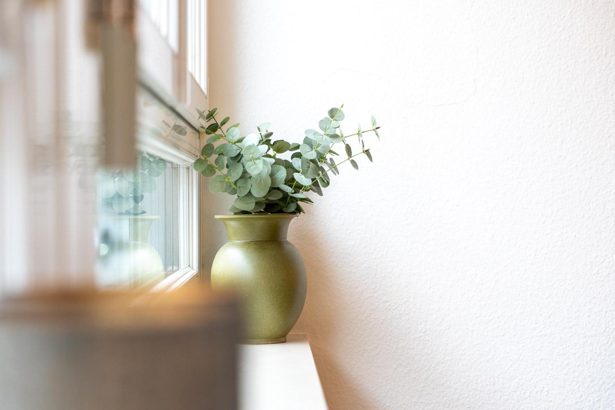 Gemuetliche Grosse Wohnung Naehe Uni Bazel Buitenkant foto